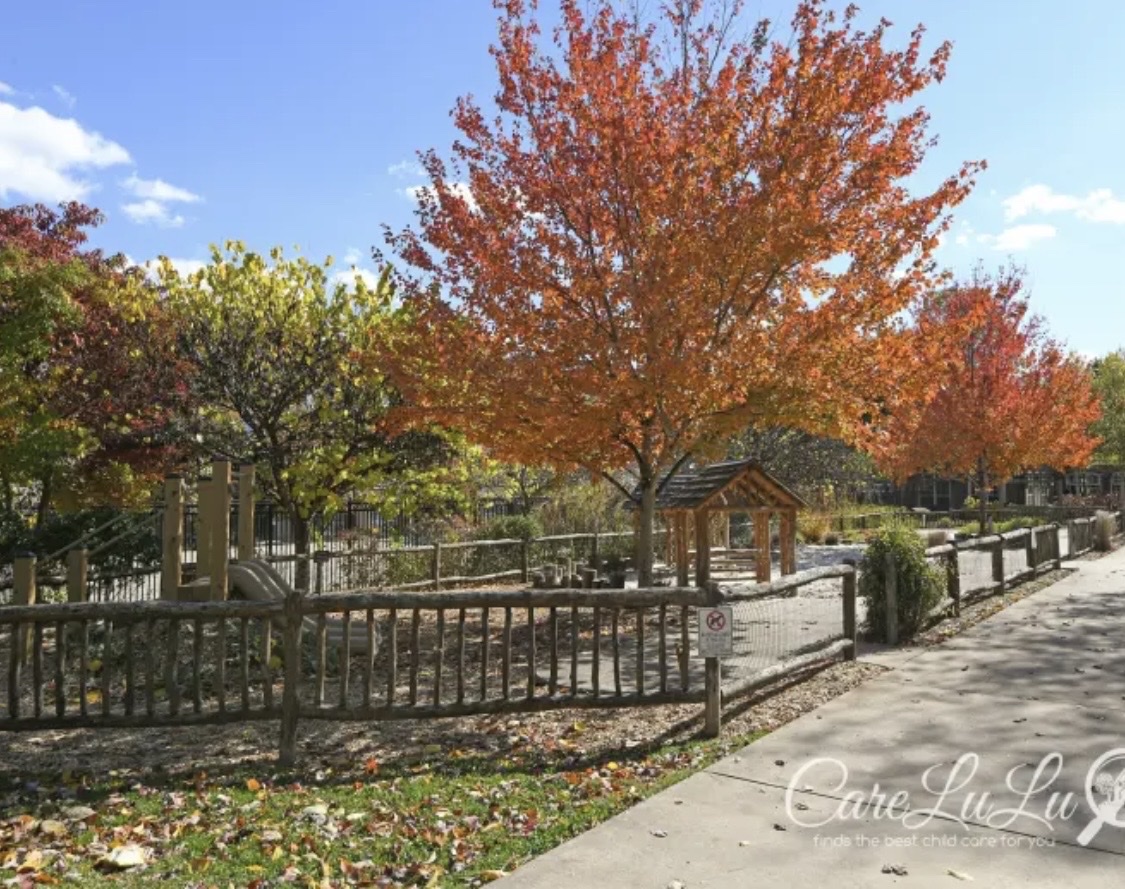 Beautiful outdoor area with autumn trees